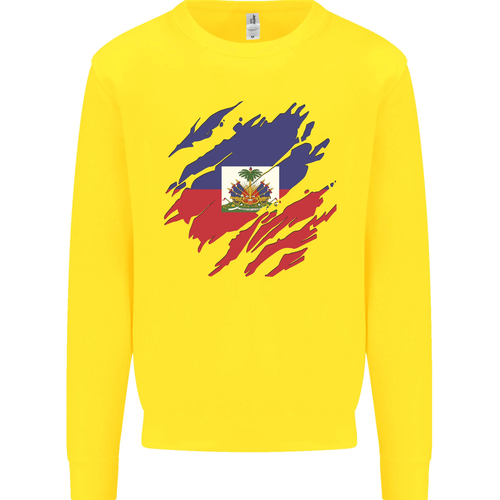 Torn Haiti Flag Haitian Day Football Kids Sweatshirt Jumper - 第 35/97 張圖片