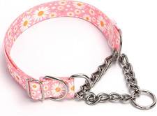Martingale Collar for Dogs with Steel Chain, No Choke Dog Collar with Pink Daisy