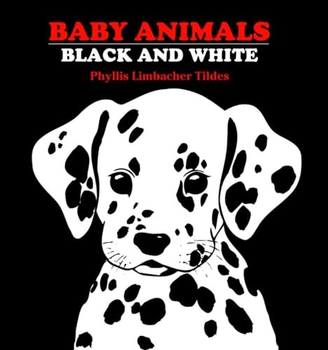 Baby Animals Black and White by Phyllis Limbacher Tildes (1998, Children's ... - Image 2