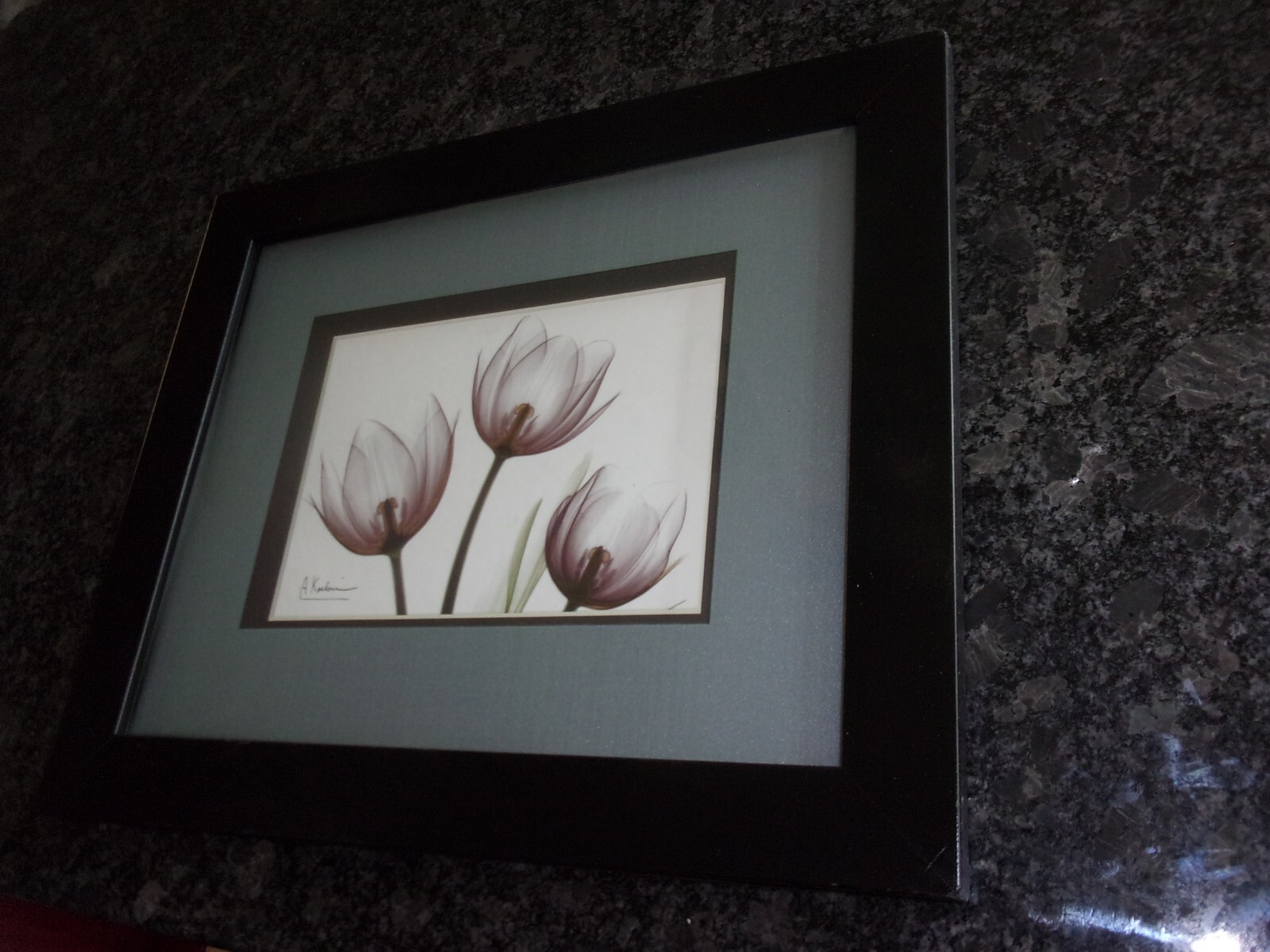 Picture 8 of 10