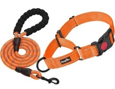 Martingale Dog Collar with Quick Release Buckle  Leash Reflective Training
