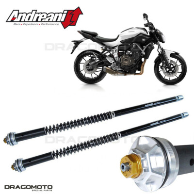 YAMAHA MT-07 2014-2020 cartridge ANDREANI 105/Y11E MISANO
