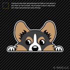 Tricolor Pembroke Welsh Corgi Sticker Die Cut Decal Self Adhesive Vinyl Cardigan