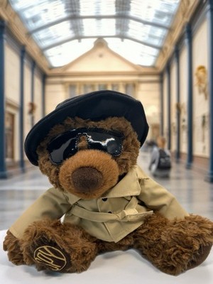 PLUSH SPY BEAR - Stuffed Animal Teddy Bear Plushy In Rain Coat Trench Coat