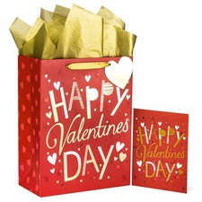 13" Large Valentine's Day Gift Bag with Card and Tissue Paper - Happy Valentine'