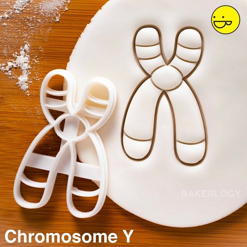 Set of 3 cookie cutters: Chromosome, Y, DNA | genetic molecule medical science - Picture 7 of 13