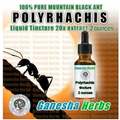 Conclusion: Should You Use Ginger to Support Testosterone Levels?