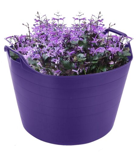 50L Eimer, 20L/40L/70L Flexi Wanne Kunststoff Mülleimer SCHWERLAST Aufbewahrung Küche Garten - Bild 73 von 106