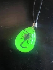 Real Scorpion Pendant Necklace In Glow In Dark Resin