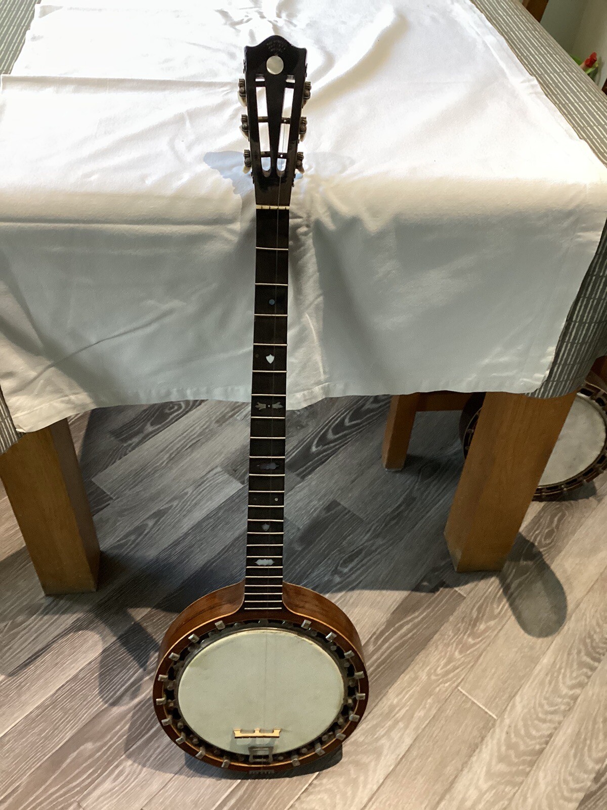 Windsor Artiste Zither Vintage. Banjo eBay