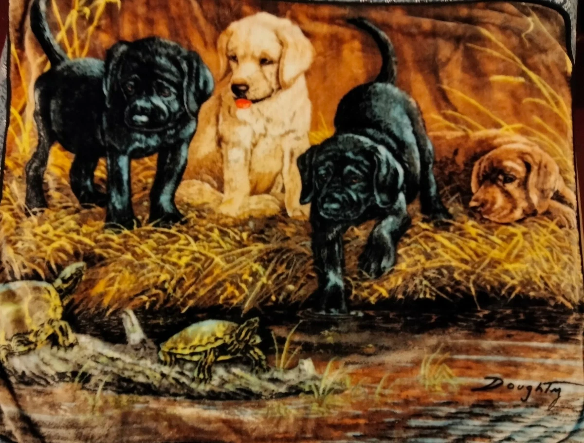 4 Lab Puppies with Turtles Doughty Throw Lap Blanket Super Soft 47