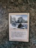 Fylgja | MtG Magic Ice Age | English | Lightly Played (LP) w4