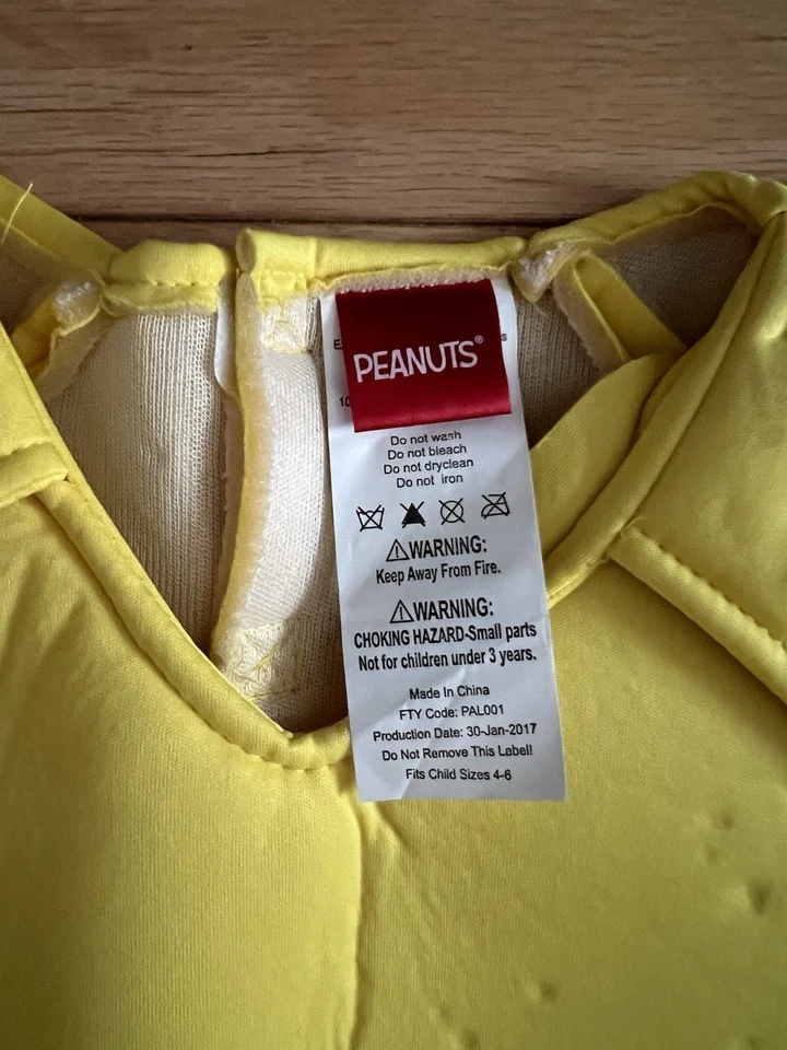 Disfraz Peanuts Charlie Marrón Niño Talla 4-6 Camisa Pantalones Cortos Cubiertas para Botas  Foto 2 de 4