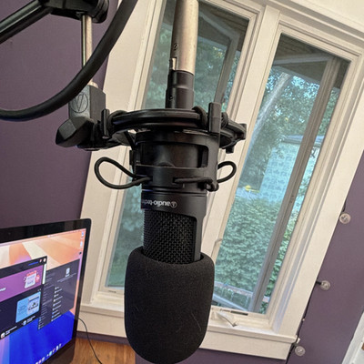 Audio-Technica AT2035 Wired XLR Condenser Mic w/XLR CABLE