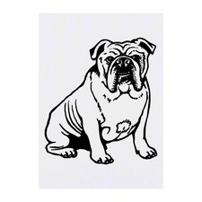 'English Bulldog' Temporary Tattoos / Transfers TO00027223 