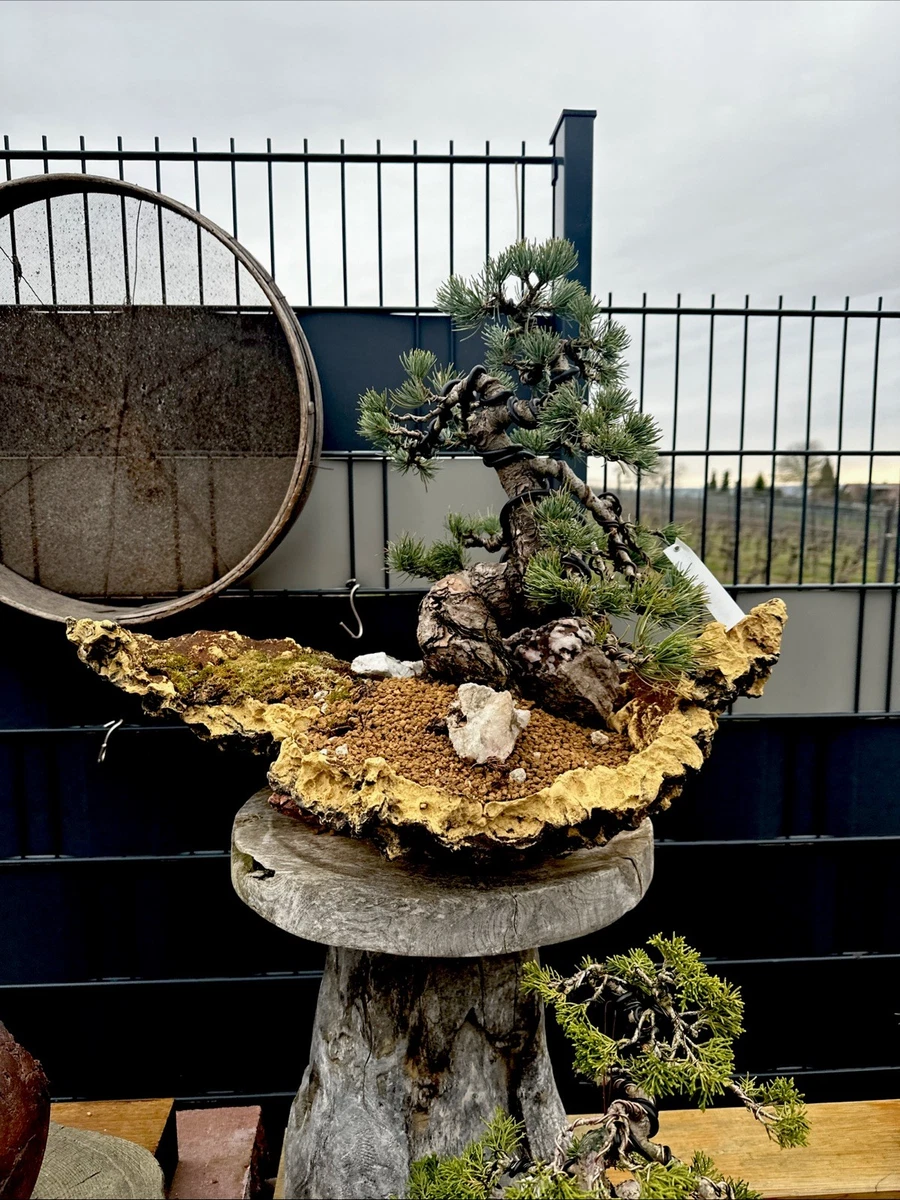 1mm 1.5mm 2mm Draht 3 Gren Bonsai Draht 1,0mm 1,5mm 2,0mm - 30 Meter  Aluminium Draht Schwarz
