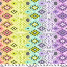 NEW! TULA PINK TABBY ROAD DEJA VU DISCO LUCY IN PRISM MINKY FABRIC 1/2 YD