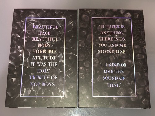 Bookish Box Obsidian & Onyx A Lux Novel Books 1&2 By Jennifer L. Armentrout - Picture 2 of 19