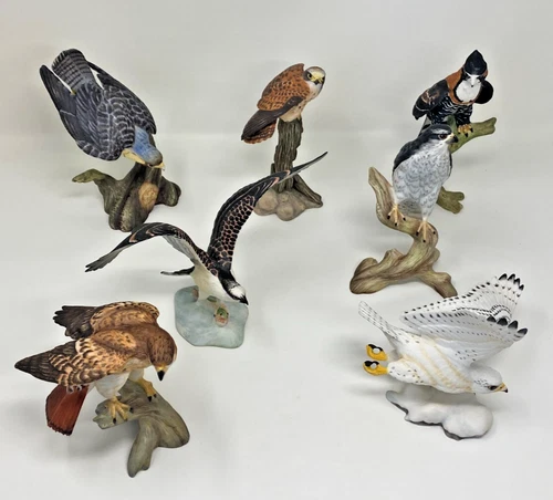 Franklin Mint -  Noble Birds Of The World Selection of  Various Birds of Prey - Picture 1 of 76