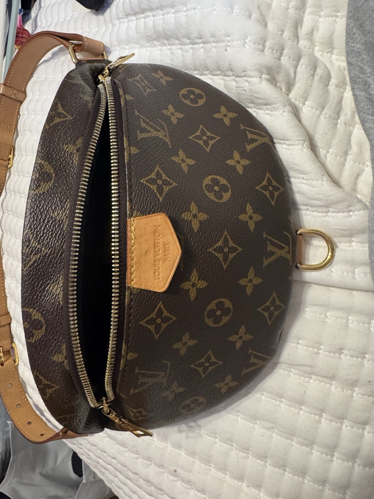 Louis Vuitton LV Monogram Bumbag