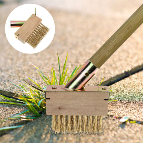 Heavy Duty Garden Brush for Weeding and Scrubbing, Durable Bristles, Easy to Use - 第 1/12 張圖片