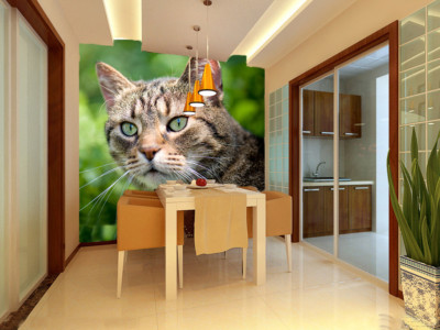 3D Cute Cool Cat 67 Wall Paper Murals Wall Print Wall Wallpaper Mural AU Kyra