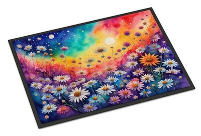 NEW Asters in Color Doormat Front Door Mat Indoor Outdoor Rugs for Entryway,