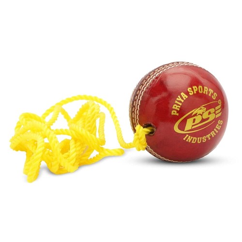 Balle De Cricket WR Club Edition – Cuir Rouge, Taille Standard, 4 Pièces, Match