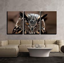 Wall26 - Great Horned Owl Portrait - Canvas Art Wall Decor - 16"x24"x3 Panels