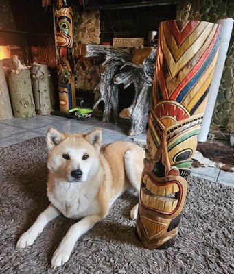 Maske Tiki Wanddeko Maori Tiki 80 cm  Totem pole Wooden Little Big Horn
