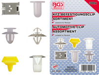 Kfz-Befestigungsclips 300 Teilig (FüR Renault)