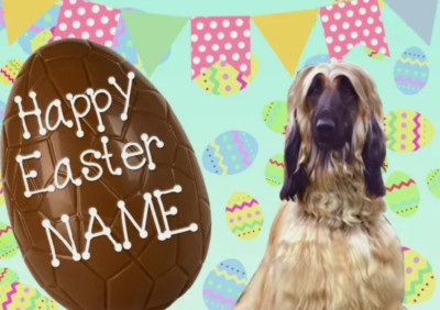 Afghan Hound Hund Frohe Ostern personalisierte Grußkarte A5 Schokoladenei EE81