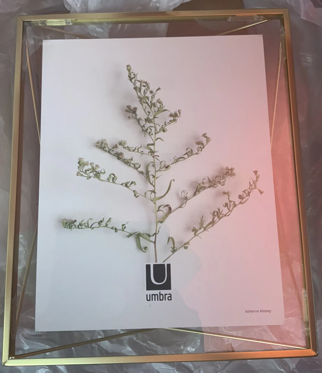 Umbra prisma 2024 frame 8x10