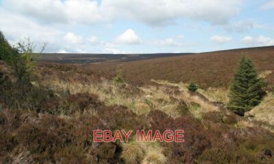 FOTOANSICHT BLICK NACH OBEN KAMM ENDE BRENNT IN RICHTUNG OH ME EDGE IM EAST KIELDER MOOR. 2