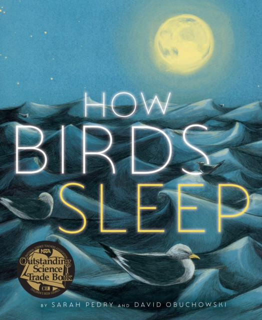 How Birds Sleep 9781662650970 David Obuchowski - Free Tracked Delivery