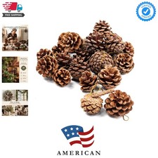18PCS Hanging Natural Pine Cones 1.5 2.5, Rus...