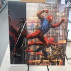 Amazing Spider-Man 25 And 24 Lee Bermejo 1:100 Virgin Variant Cover marvel ASM
