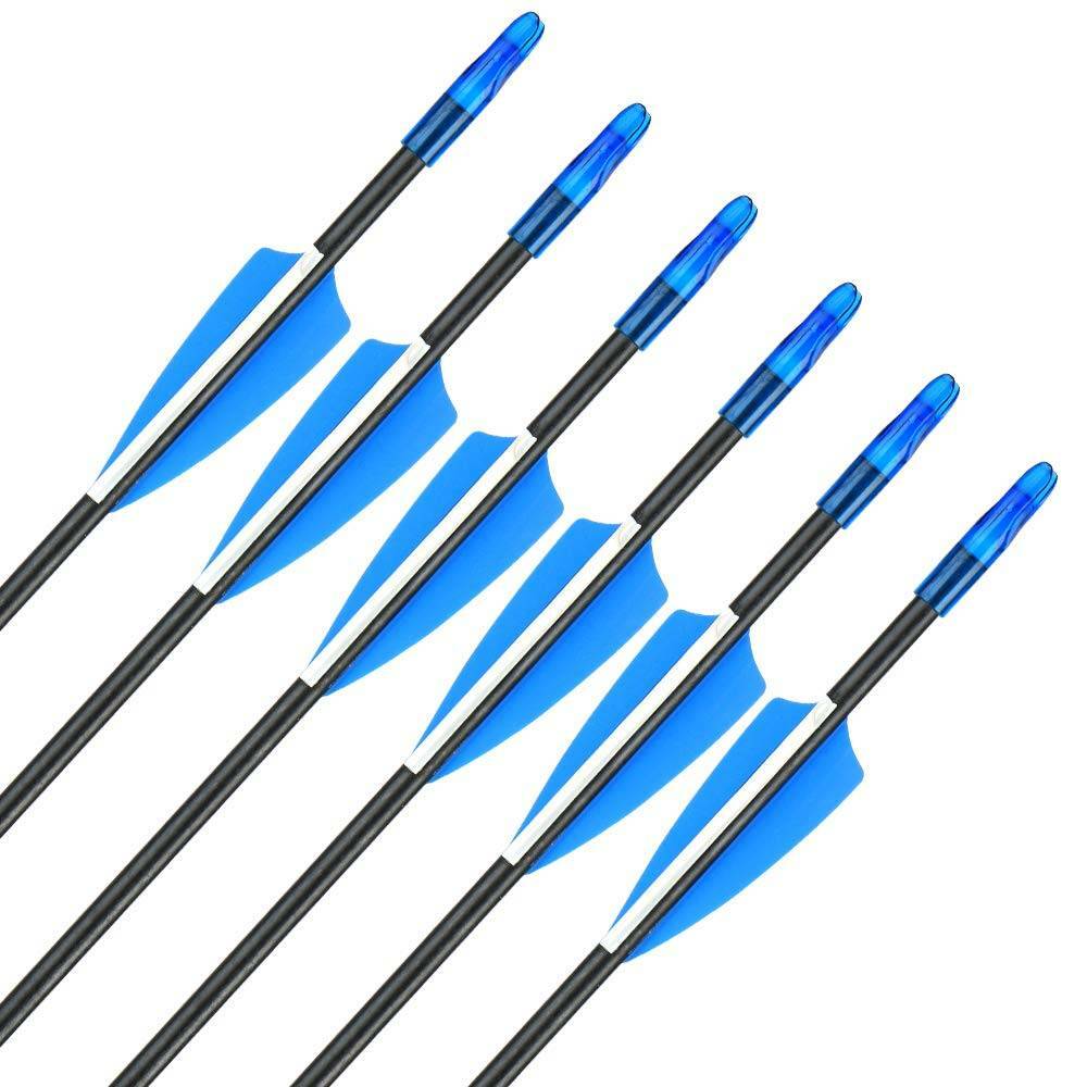 25x Archery Fiberglass Arrows Outdoor Target Points Recurve Bow Shooting Hunting eBay