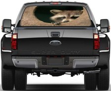 Raccoon Animals Rear Window Decal Graphic Sticker Car Truck SUV Van 735
