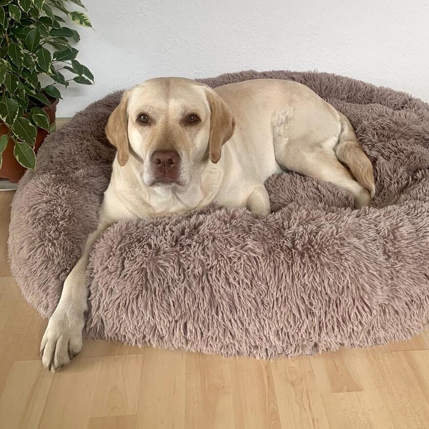 Flauschiges Wolke 7 Hundebett - das Original (mit abnehmbarem, waschbarem Bezug)