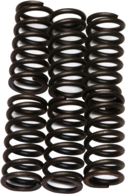N。 EBC - CSK6 - CSK Clutch Spring Kit 10% Stiffer Than Stock Springs
