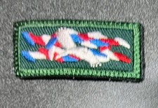 National Eagle Scout Association Outstanding Eagle Scout Knot Life MemV NON BSA