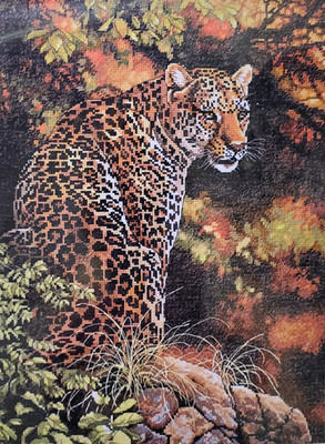 Dimensions The Gold Collection Cross Stitch Kit - Leopards Gaze 35209 2007 New