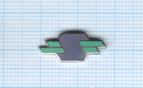 Pin’s Logo S gris et vert - Photo 1/1