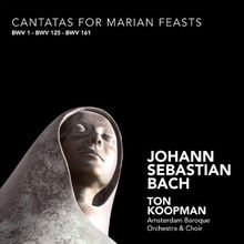 Cantatas for Marian Feasts von Koopman,Ton, Amsterdam Baro... | CD | Zustand neu