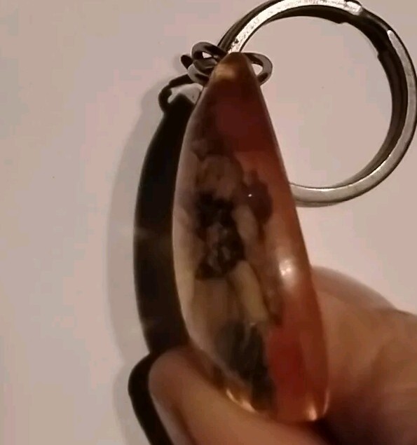 Picture 3 of 4