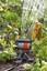 Indexbild 9 - GARDENA Viereckregner Rasensprenger OS 90 für Mircrodrip System