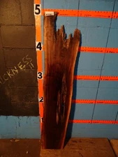 A1386    3/4" THICK  black walnut Live Edge Slab table shelf bench KILN DRIED