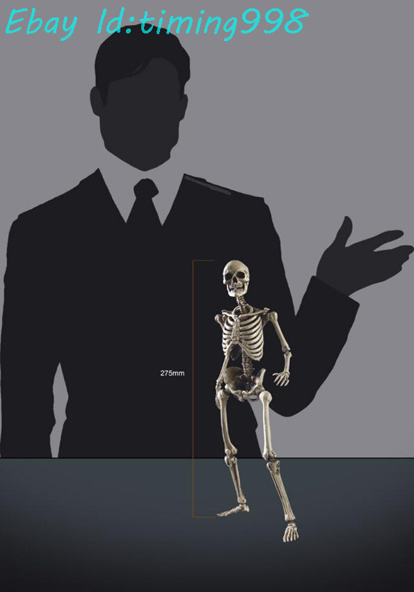 New COOMODEL BS011 1/6 Scale HUMAN SKELETON DIECAST ALLOY Action