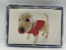 Hana Deka Club 10 Blank Notecards with Envelopes Dog in Red Sweater